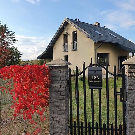 Sosnowe Widoki - Nowe Miasto Nad Rzeka Sona - Dom Caloroczny Szczawin  Экстерьер фото