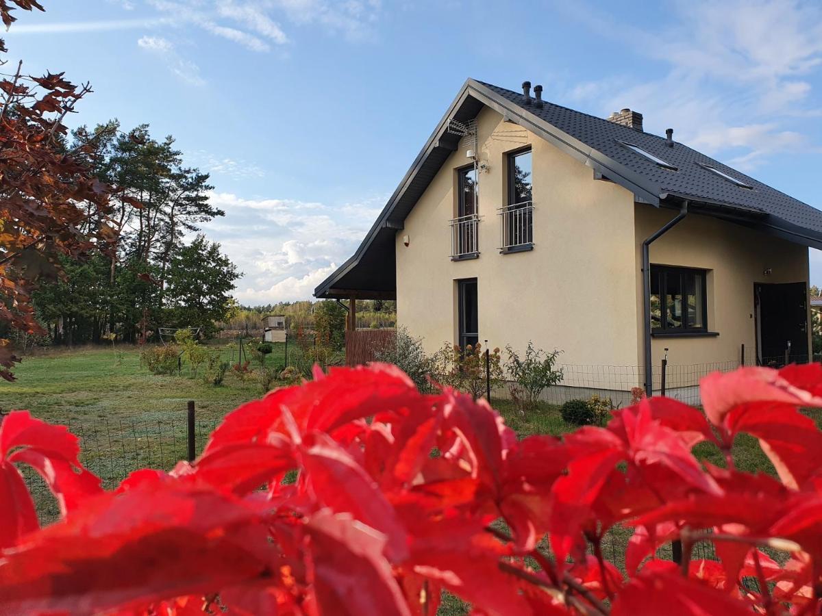 Sosnowe Widoki - Nowe Miasto Nad Rzeka Sona - Dom Caloroczny Szczawin  Экстерьер фото